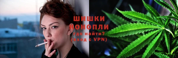 apvp Алзамай