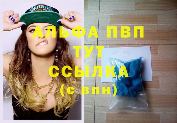 apvp Алзамай