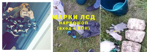 apvp Алзамай
