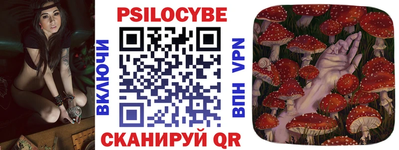 как найти наркотики  Тара  Псилоцибиновые грибы Magic Shrooms 