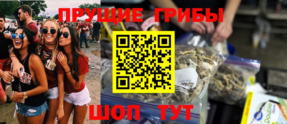 Псилоцибиновые грибы мухоморы Тара