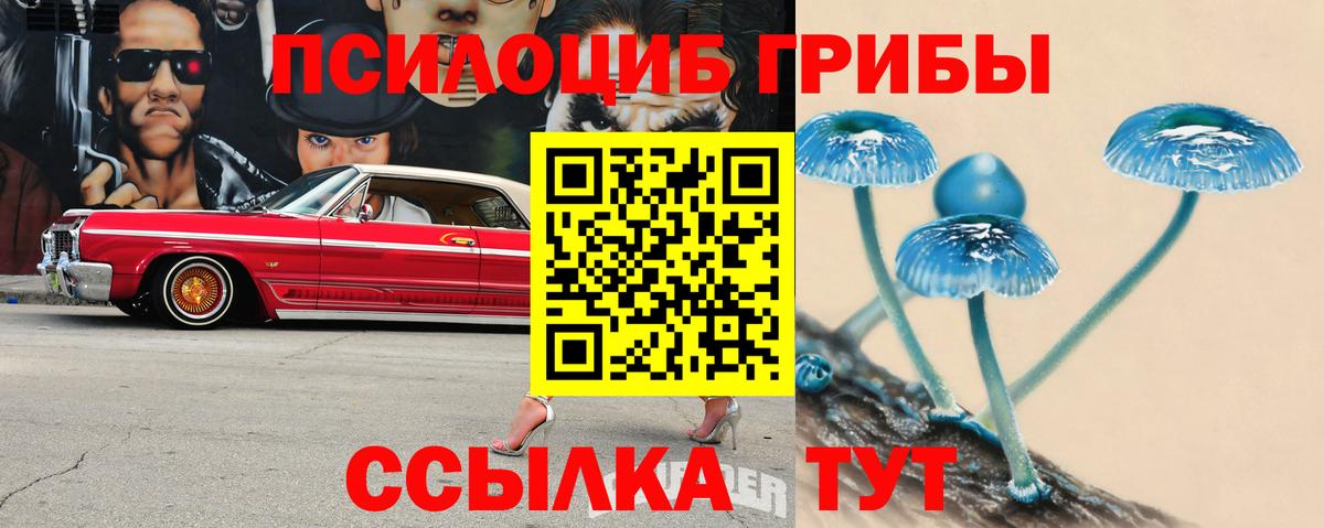 Тара  Псилоцибиновые грибы GOLDEN TEACHER  Вход с VPN 