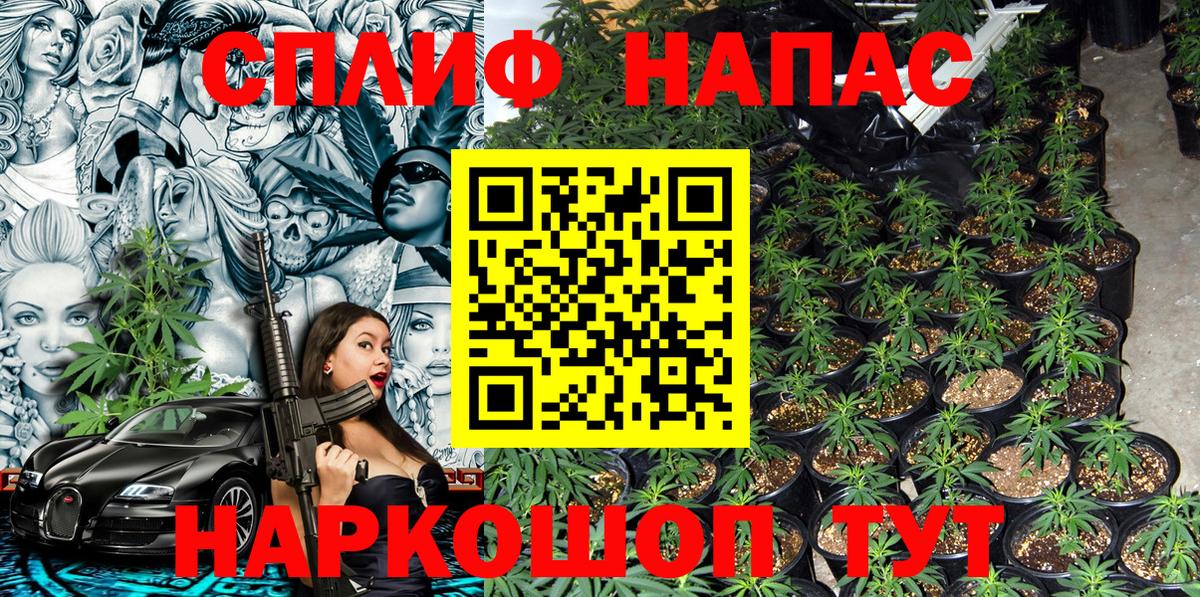 Конопля AK-47  Вход с VPN  Конопля LSD WEED  Тара  Конопля SATIVA & INDICA 
